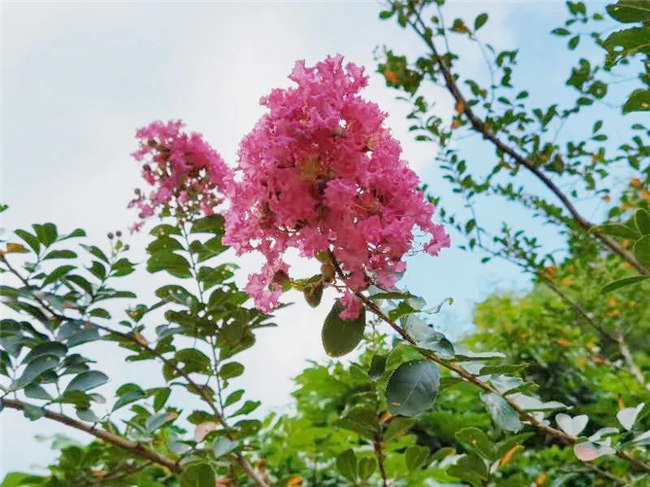 呼吸鮮氧，踐行公益&mdash;&mdash;廣東博皓公益活動(dòng)：星溪線公益環(huán)?；顒?dòng)   -5