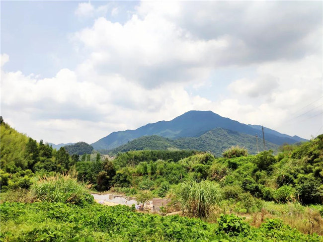 呼吸鮮氧，踐行公益&mdash;&mdash;廣東博皓公益活動(dòng)：星溪線公益環(huán)?；顒?dòng)   -6
