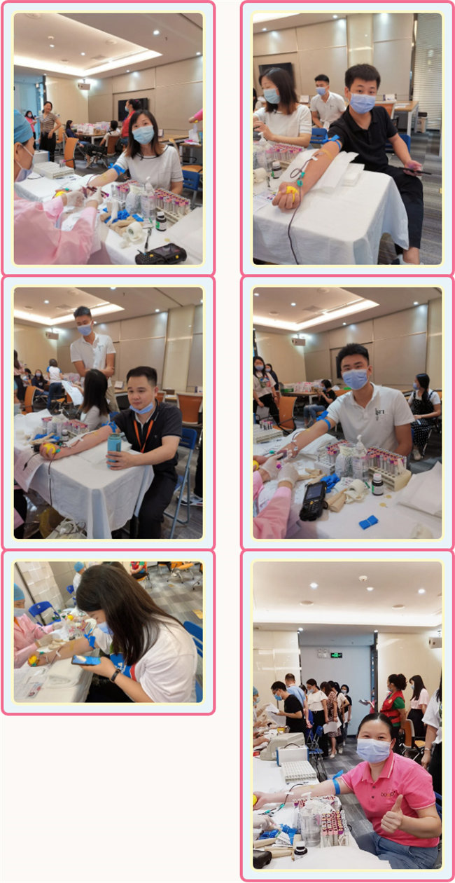 捐獻(xiàn)青春熱血，彩繪人生畫卷&mdash;&mdash;廣東博皓總班委組織了一次&ldquo;捐我熱血，呵護(hù)生命&rdquo;的無償獻(xiàn)血公益活動    -3
