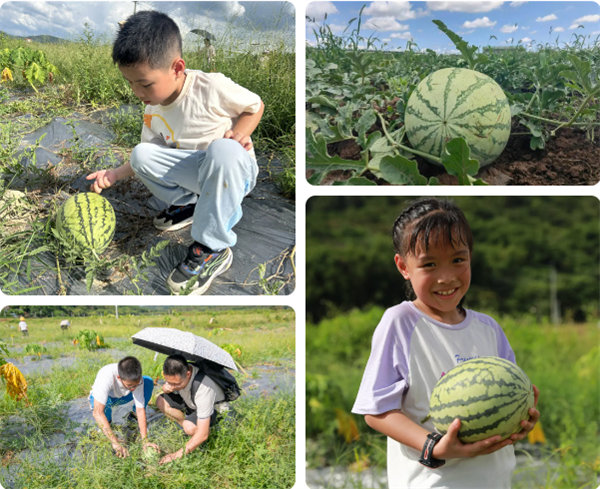 趣游盛夏，一路童行&mdash;2024年廣東博皓親子游   -12