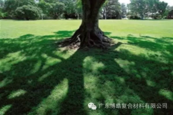 【博皓感悟】欲為大樹，莫與草爭-6