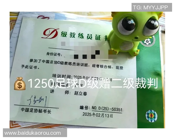提升足球教练水平的必经之路D级证书的重要性与获取指南
