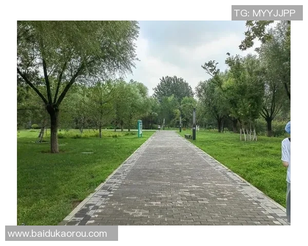 探索442足球公园的魅力与乐趣体验尽享足球激情与友谊的完美结合 探索442足球公园的魅力与乐趣体验尽享足球激情与友谊的完美结合